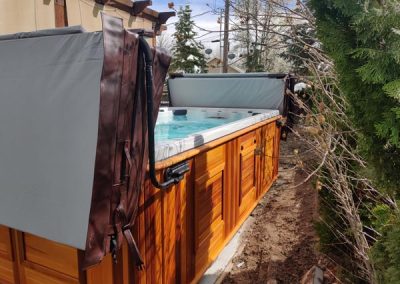 uncovered all weather pool arctic spas in red cedar cabinet in the backyard